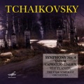 Ussr Symphony Orchestra - Symphony No. 4 in F Minor, Op. 36: I. Andante sostenuto – Moderate con anima