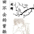 刘辉 - 回不去的曾经