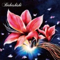 Bahashishi - loop