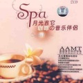 纯音乐 - 夏日童话