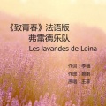 弗雷德乐队FD5 - 致青春 (环球春晚版)