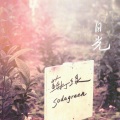 苏打绿 - 日光