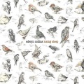 Edwyn Collins - Searching For The Truth