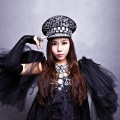史春晖 - 雪莲香