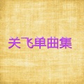 关飞 - 不要遗忘