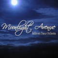 Ballroom Dance Orchestra - Moonlight Avenue