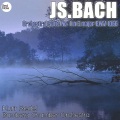 Bamberg Chamber Orchestra、kurt redel - Orchestral Suite No.1 in C Major, BWV 1066: VII. Passepied