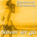 Eastbound Expressway - Danger Zone