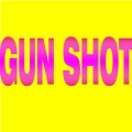 Diamonds - Gun Shot (Radio Edit)