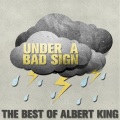 Albert King - Guitar Man