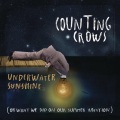 Counting Crows - Ooh La La