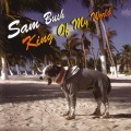 Sam Bush - Puppies 'n Knapsacks