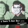 The Crickets - Everyday