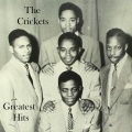 The Crickets - When I Met You