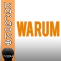 The Kisslcats - Warum