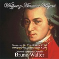 Bruno Walter、columbia symphony orchestra - Symphony No. 25 in G Minor, K 183: I. Allegro con brio