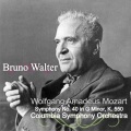 Bruno Walter、columbia symphony orchestra - Symphony No. 40 in G Minor, K. 550: I. Molto allegro