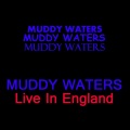 Muddy Waters、WILLIAMS - Baby Please Don't Go