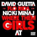 David Guetta - Where Them Girls At (Instrumental)
