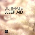 Pillow Music Ensamble - Fall Asleep Easily