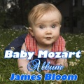 James Bloom - Piano Sonata No. 12 in F major, K. 332, II. Adagio