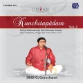 Sikkil Gurucharan - Virutham (Aandavan)