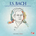 Ivan Sokol - Fantasy with Imitation in B Minor, BWV 563