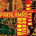 Os Paralamas Do Sucesso - Intro / Sem Mais Adeus