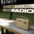 Mangroove - Radio