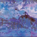 Steve Haun - Renewal
