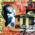 djavan - Sete Coqueiros