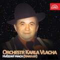 Richard & Adam、Richard Adam - Píseň o tvých vlasech