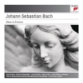 Carlo Maria Giulini、Keith Lewis、Ruth Ziesak、david wilson-johnson、roberta alexander、Elmar Schloter、Johann Sebastian Bach、Chor des Bayerischen Rundfunks、Jard van Ness、bavarian radio symphony orchestra - No. 4 Chorus: Et incarnatus est