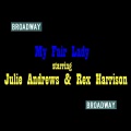 Julie Andrews、rex harrison、broadway cast - You Did It