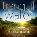 Jessita Reyes、Yoga Tribe - Birds Usher in Spring Storms