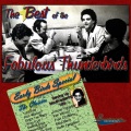 The Fabulous Thunderbirds - Bad Boy (Live)