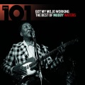 Muddy Waters - This Pain