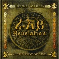 Stephen Marley、Damian Marley - Tight Ship