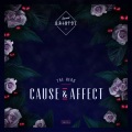 Cause & Affect - The Herd