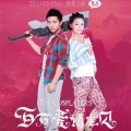 杨菲洋 - 爱在线