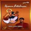 Sikkil Gurucharan - Sree Dakshinamurti - Phenadyuti - Adi