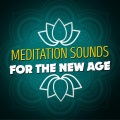 World Music for the New Age - Raku