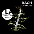 barbara schlick - Cantata BWV 180, Shmücke dich,o liebe Seele: I. Chor