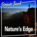 Organic Sound - Waiting for the Rain to End
