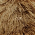 Ash、HVOB - Lion (Remix)