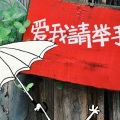 小W - 爱我的请举手