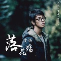 贾涛 - 落花殇
