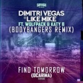 Dimitri Vegas & Like Mike、Wolfpack、Katy B - Find Tomorrow (Ocarina) (Bodybangers Remix)