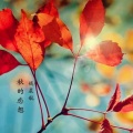 钱小航 - 秋的恋想