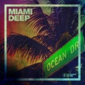 Moti Brothers - I Feel (Vick Echo )(Remix)